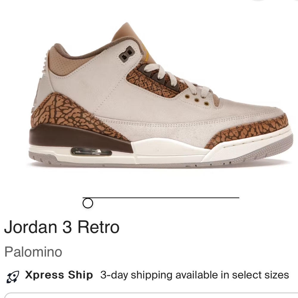Jordan 3 Retro “Palomino” 2024
